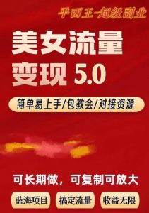 TK美女短视频变现项目无限复制（升级版），全网最高性价比项目【揭秘】|淘骐网赚资源库