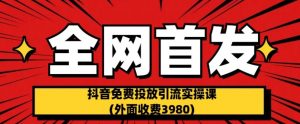 全网首发:抖音免费投放引流实操课(外面收费3980)【揭秘】|淘骐网赚资源库