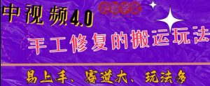 中视频4.0赛道:新手福音,入门简单,上手快【揭秘】|淘骐网赚资源库
