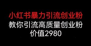 小红书暴力引流创业粉，教你引流高质量创业粉，价值2980【揭秘】|淘骐网赚资源库