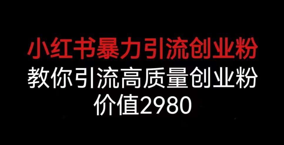 小红书暴力引流创业粉，教你引流高质量创业粉，价值2980【揭秘】|淘骐网赚资源库