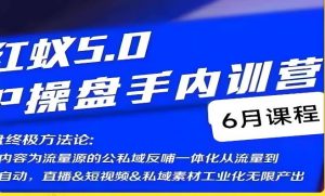 红蚁5.0IP操盘手内训营,IP操盘终极方法论|淘骐网赚资源库