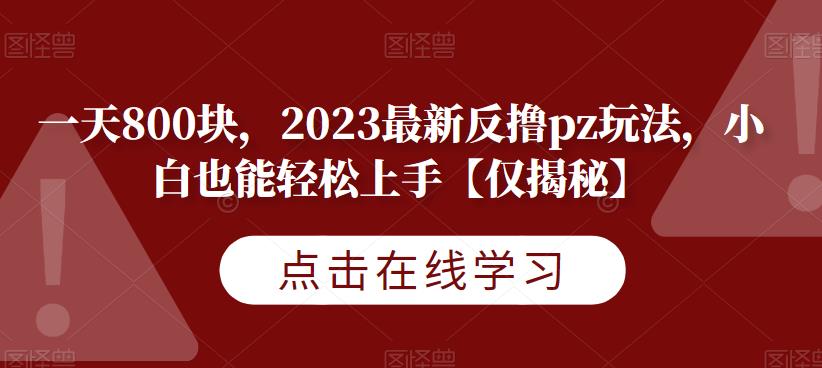 一天800块,2023最新反撸pz玩法,小白也能轻松上手【仅揭秘】|淘骐网赚资源库