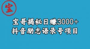 宝哥揭秘日赚3000+抖音励志语录号短视频变现项目|淘骐网赚资源库