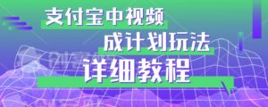 避坑玩法:支付宝中视频分成计划玩法实操详解【揭秘】|淘骐网赚资源库