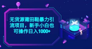 2023无货源莆田鞋暴力引流项目,新手小白也可实操日入1000+【揭秘】-第一资源库