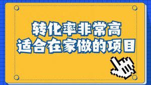 小红书虚拟电商项目:从小白到精英(视频课程+交付手册)|淘骐网赚资源库