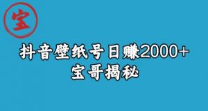 宝哥抖音壁纸号日赚2000+,不需要真人露脸就能操作【揭秘】|淘骐网赚资源库
