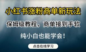 小红书涨粉商单新玩法,保姆级教程,商单接到手软,纯小白也能学会【揭秘】|淘骐网赚资源库