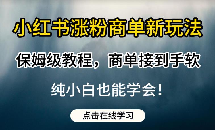 小红书涨粉商单新玩法,保姆级教程,商单接到手软,纯小白也能学会【揭秘】|淘骐网赚资源库