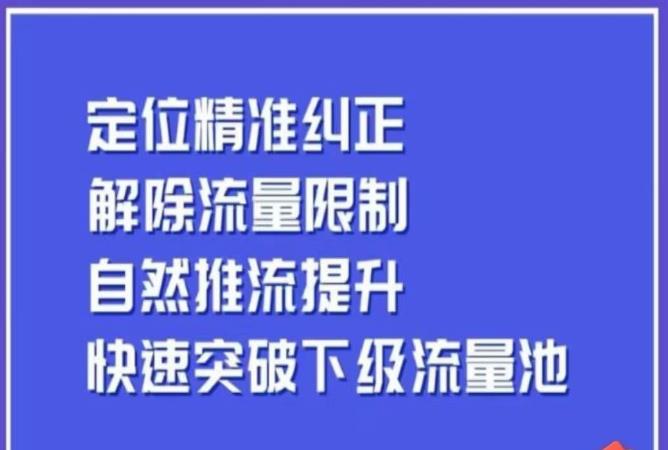 同城账号付费投放运营优化提升，​定位精准纠正，解除流量限制，自然推流提升，极速突破下级流量池|淘骐网赚资源库