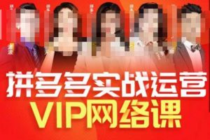 推易拼多多VIP全套直播课程,拼多多店铺实操玩法+实战玩法选款内功+直通车高阶等|淘骐网赚资源库