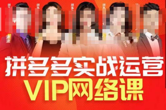 推易拼多多VIP全套直播课程,拼多多店铺实操玩法+实战玩法选款内功+直通车高阶等|淘骐网赚资源库