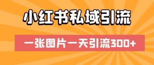 小红书私域引流,一张图片一天引流300+【揭秘】|淘骐网赚资源库