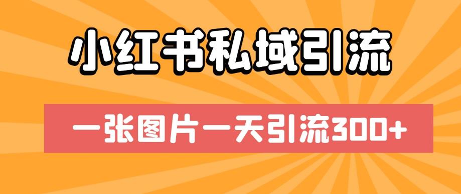 小红书私域引流,一张图片一天引流300+【揭秘】|淘骐网赚资源库