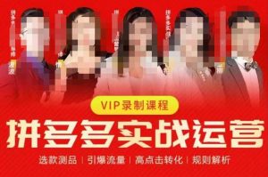 2023推易拼多多实战运营,选款测品、引爆流量、高点击转化、规则解析|淘骐网赚资源库