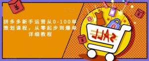 拼多多新手运营从0-100单策划课程，从零起步到爆单详细教程|淘骐网赚资源库