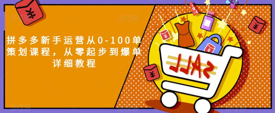 拼多多新手运营从0-100单策划课程,从零起步到爆单详细教程|淘骐网赚资源库