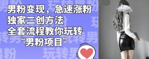 男粉变现，急速涨粉独家二创方法，全套流程教你玩转“男粉项目”【揭秘】|淘骐网赚资源库