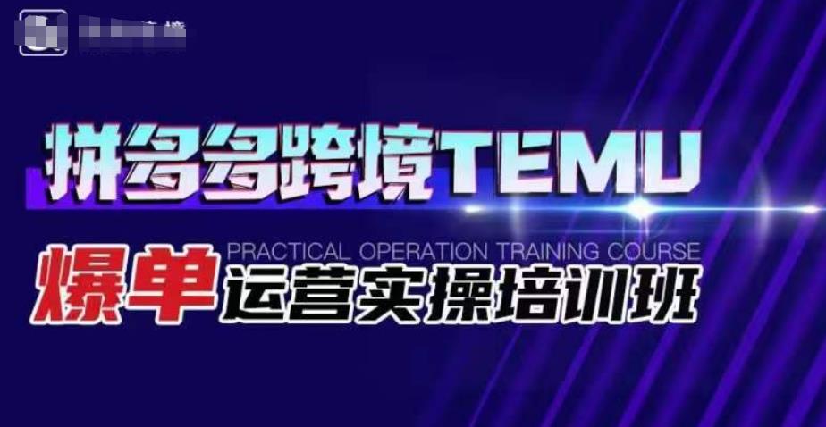 拼多多跨境TEMU爆单运营实操培训班，海外拼多多的选品、运营、爆单|淘骐网赚资源库