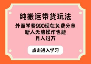 纯搬运带货玩法，外面学费990现在免费分享，新人无脑操作也能月入过万【揭秘】|淘骐网赚资源库