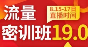 秋秋线上流量密训班19.0,打通流量关卡,线上也能实战流量破局|淘骐网赚资源库