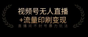全网首发视频号不封号无人直播暴利玩法+流量印刷机变现,日入1000+【揭秘】-第一资源库