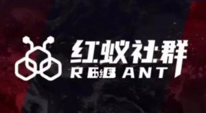 社群运营:红蚁社群【48节落地系统课程+2000人高端社群】|淘骐网赚资源库