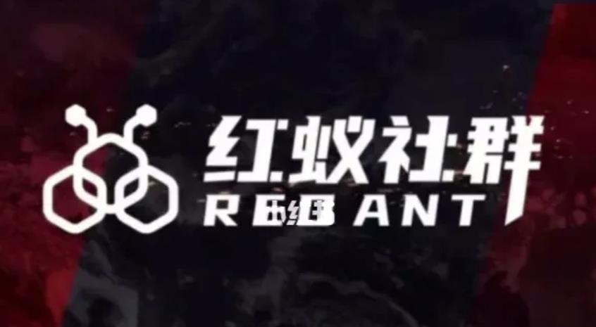 社群运营:红蚁社群【48节落地系统课程+2000人高端社群】|淘骐网赚资源库