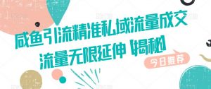 咸鱼引流精准私域流量成交流量无限延伸【揭秘】|淘骐网赚资源库