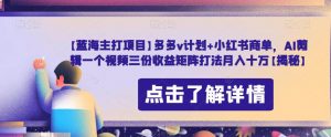 【蓝海主打项目】多多v计划+小红书商单,AI剪辑一个视频三份收益矩阵打法月入十万【揭秘】|淘骐网赚资源库
