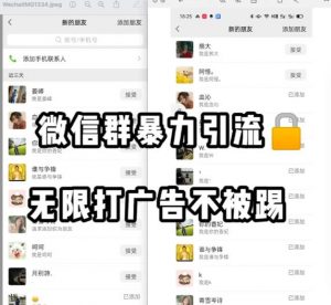 微信群引流无限打广告防踢教程，零风险日引200+精准粉|淘骐网赚资源库