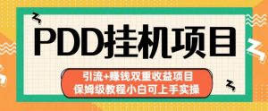 拼多多挂机项目引流+赚钱双重收益项目(保姆级教程小白可上手实操)【揭秘】|淘骐网赚资源库