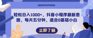 轻松日入1000+,抖音小程序最新思路,每天五分钟,适合0基础小白【揭秘】|淘骐网赚资源库