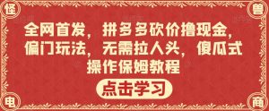 全网首发,拼多多砍价撸现金,偏门玩法,无需拉人头,傻瓜式操作保姆教程【揭秘】|淘骐网赚资源库