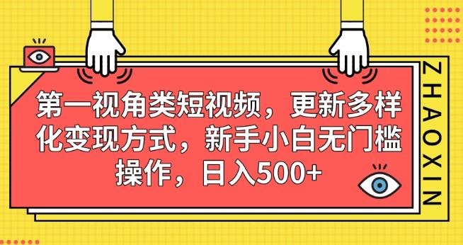第一视角类短视频，更新多样化变现方式，新手小白无门槛操作，日入500+【揭秘】|淘骐网赚资源库
