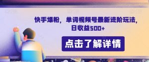 快手爆粉,单词视频号最新进阶玩法,日收益500+【揭秘】|淘骐网赚资源库