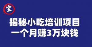 宝哥揭秘小吃培训项目，利润非常很可观，一个月赚3万块钱|淘骐网赚资源库
