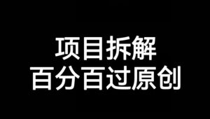 项目拆解赛道百分百过原创【揭秘】|淘骐网赚资源库