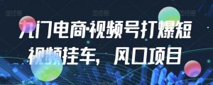九门电商·视频号打爆短视频挂车，风口项目|淘骐网赚资源库