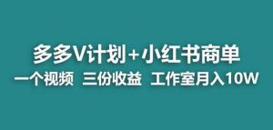 【蓝海项目】多多v计划+小红书商单一个视频三份收益工作室月入10w|淘骐网赚资源库