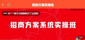 【一度招商】招商方案系统实操班 价值1980元|淘骐网赚资源库