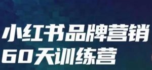 小红书品牌60天训练营第6期,GMV2亿级品牌老板都在学,教会你内容营销底层逻辑|淘骐网赚资源库