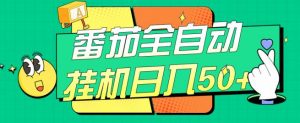 番茄全自动挂机日入50+,软件全自动,多号破百【揭秘】|淘骐网赚资源库