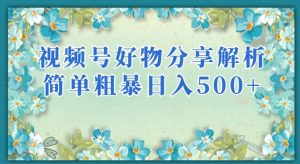 视频号好物分享解析，简单粗暴可以批量方大的项目【揭秘】|淘骐网赚资源库