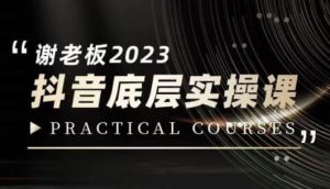 蟹老板·2023抖音底层实操课,打造短视频的底层认知|淘骐网赚资源库