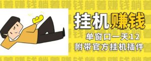 美金挂机项目，单窗口一天12，官方免费插件自动运行，对小白友好【揭秘】|淘骐网赚资源库