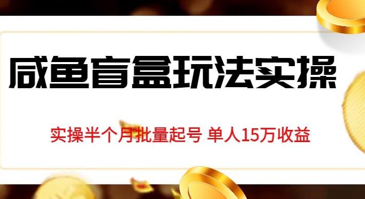 独家首发咸鱼盲盒玩法实操，半个月批量起号单人15万收益【揭秘】|淘骐网赚资源库