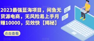 2023最强蓝海项目，闲鱼无货源电商，无风险易上手月赚10000，见效快【揭秘】|淘骐网赚资源库