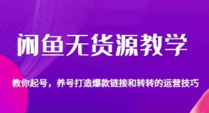 闲鱼无货源教学，教你起号，养号打造爆款链接以及转转的运营技巧|淘骐网赚资源库